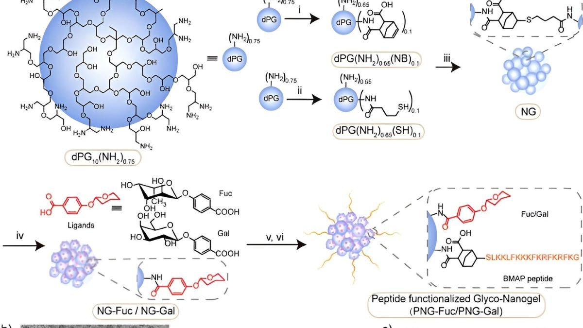 nanogel technology, drug-resistant bacteria, medical nanogel, antibiotic resistance, bacteria-killing nanogel, health tech innovations, nanotechnology medicine, superbug research, new medical breakthroughs, bacterial infection treatment